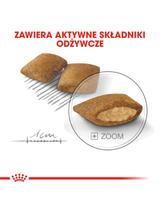 ROYAL CANIN CCN Mini Exigent 1kg karma sucha dla psów dorosłych, ras małych, wybrednych