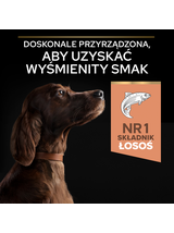 PRO PLAN Sensitive Skin Large Athletic Adult Karma dla psów bogata w łososia 14kg