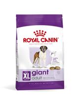 ROYAL CANIN Giant Adult 15kg karma sucha dla psów dorosłych, od 18/24 miesiąca życia, ras olbrzymich