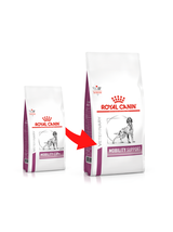 ROYAL CANIN Mobility Support 12kg opakowanie uszkodzone (5212,5523,5987,7602,8361,8937,9363)!!!!