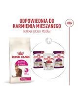 ROYAL CANIN Fussy  Exigent 4kg karma sucha dla kotów dorosłych, wybrednych