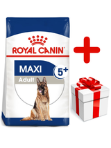 ROYAL CANIN Maxi Adult 5+ 15kg karma sucha dla psów starszych, od 5 do 8 roku życia, ras dużych + niespodzianka dla psa GRATIS!