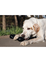 KONG Extreme Goodie Bone M
