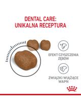 ROYAL CANIN  Dental Care 8kg karma sucha dla kotów dorosłych, redukująca odkładanie kamienia nazębnego / Opakowanie uszkodzone (8744) !!!