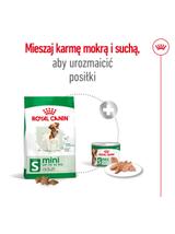 ROYAL CANIN Mini Adult 800g karma sucha dla psów dorosłych, ras małych + niespodzianka dla psa GRATIS