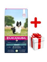 Eukanuba adult small&medium breed rich In lamb & rice 12kg + niespodzianka dla psa GRATIS!