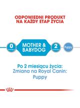 ROYAL CANIN Starter Mousse Mother & Babydog 6x195g karma mokra - mus, dla suk w czasie ciąży, laktacji oraz szczeniąt