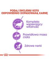 ROYAL CANIN  Sterilised +7 10kg karma sucha dla kotów dorosłych, od 7 do 12 roku życia życia, sterylizowanych