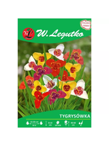 Tygrysówka mieszanka 7szt.