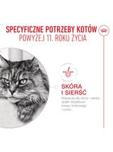 ROYAL CANIN mokra karma dla kotów, Senior Ageing 11+, sos12x85 g