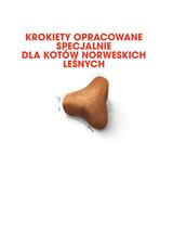ROYAL CANIN Norvegian Forest Cat Adult 2kg karma sucha dla kotów dorosłych rasy norweski leśny