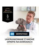 PRO PLAN Veterinary Diets  DRM Dermatosis Karma sucha dla psa 3kg