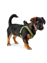 HUNTER Szelki Hilo Comfort limonkowe S-M