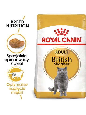 ROYAL CANIN British Shorthair 10kg karma sucha dla kotów dorosłych rasy brytyjski krótkowłosy