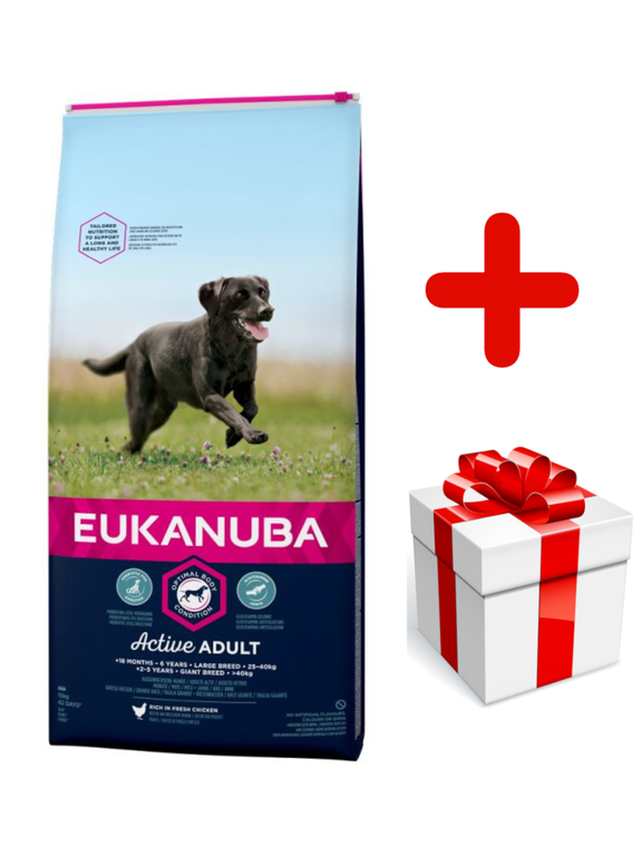 Eukanuba adult large breed chicken 15kg + niespodzianka dla psa GRATIS!