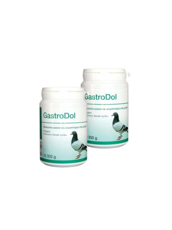 Dolfos GastroDol 2x300g