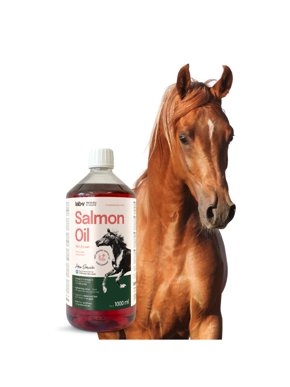 Lab-v Salmon Oil – 100% olej z łososia atlantyckiego dla koni 1000 ml