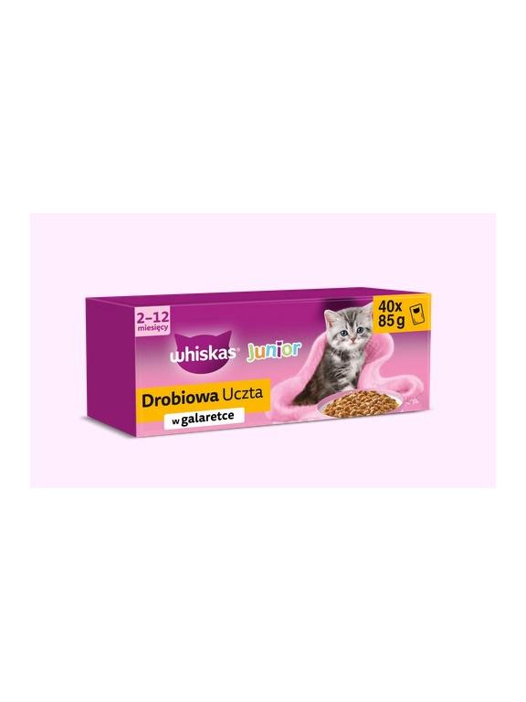 WHISKAS Junior Drobiowa uczta w galaretce - mokra karma dla kota - 40x85 g