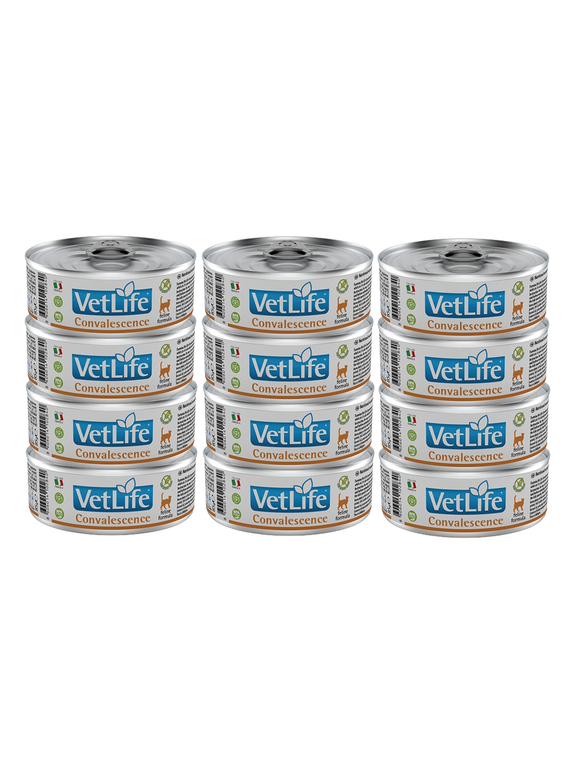 Farmina Vet Life Convalescence Cat 12x85g
