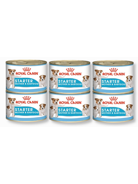 ROYAL CANIN Starter Mousse Mother & Babydog 6x195g karma mokra - mus, dla suk w czasie ciąży, laktacji oraz szczeniąt