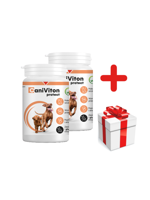 VETOQUINOL Caniviton Protect Karma Uzupełniająca Dla Psów 2x90 tab + NIESPODZIANKA DLA PSA GRATIS