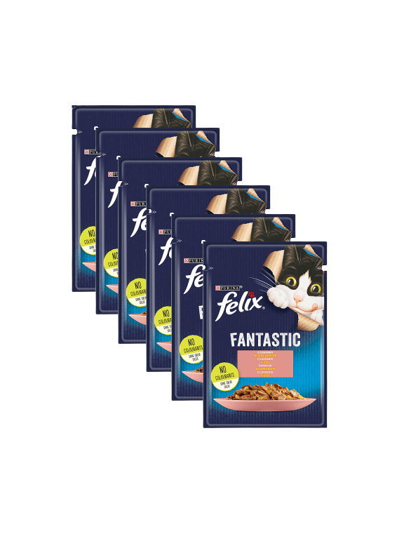 FELIX Łosoś w galaretce - saszetka 26x85g