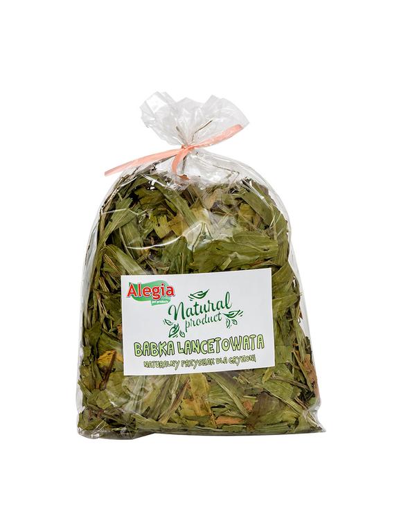 ALEGIA Babka Lancetowata 100g