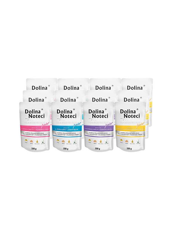 Dolina Noteci PREMIUM dla psów małych ras JUNIOR MIX SMAKÓW 40x100g