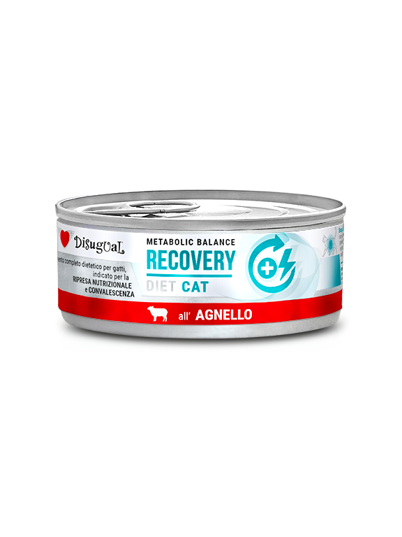 Disugual Karma mokra dla kota Weterynaryjna RECOVERY Jagnięcina (dorosły) 85g