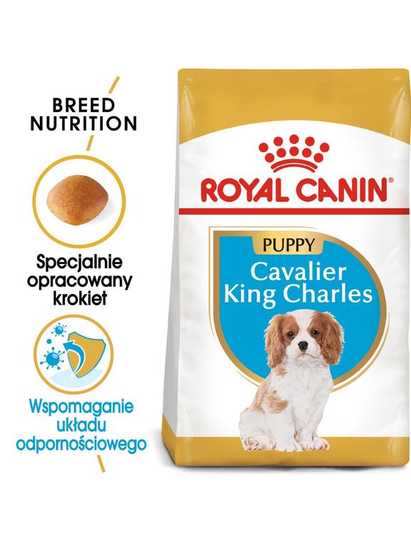 ROYAL CANIN Cavalier King Charles Spaniel Puppy 1,5kg karma sucha dla szczeniąt do 10 miesiąca, rasy cavalier king charles spaniel