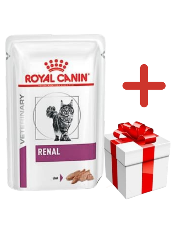 ROYAL CANIN Cat Renal 12x85g saszetka (pasztet) + NIESPODZIANKA DLA KOTA GRATIS!!
