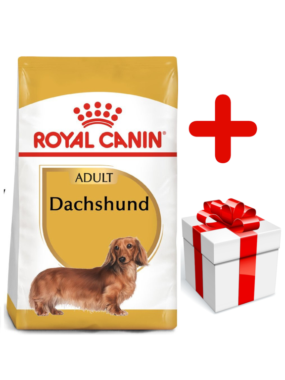 ROYAL CANIN Dachshund 7,5kg karma sucha dla psów dorosłych rasy jamnik + niespodzianka dla psa GRATIS!