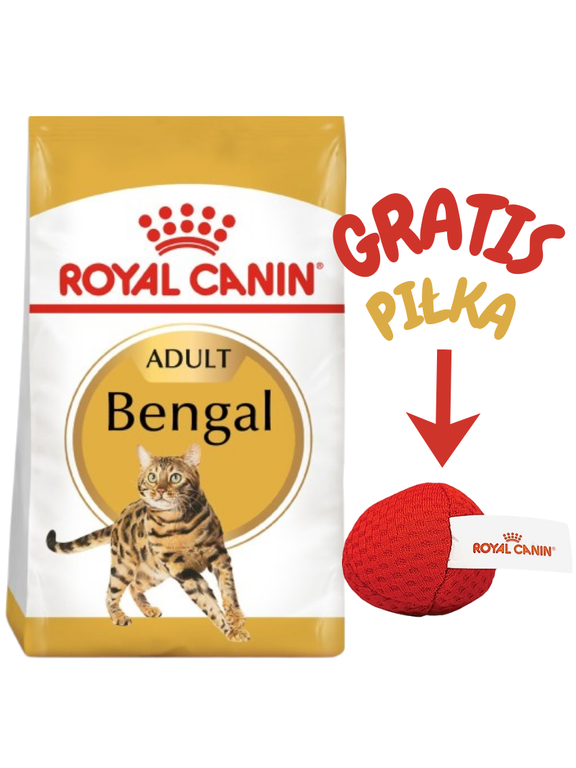 ROYAL CANIN Bengal Adult 10kg karma sucha dla kotów dorosłych rasy bengal + Royal Canin piłka dla kota GRATIS!!!