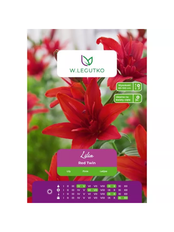 Lilia Red Twin czerwona 1szt.