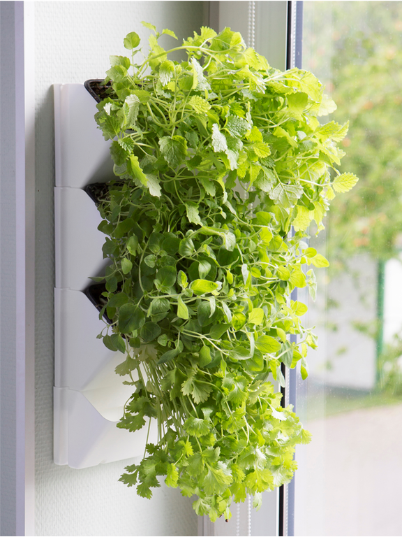 AQUAEL Zielnik ścienny Versa Garden Herbs