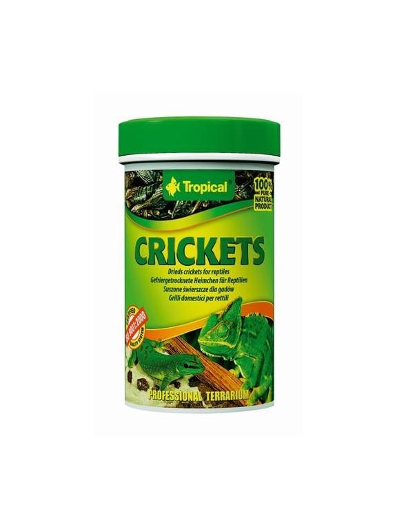 TROPICAL Crickets 100ml