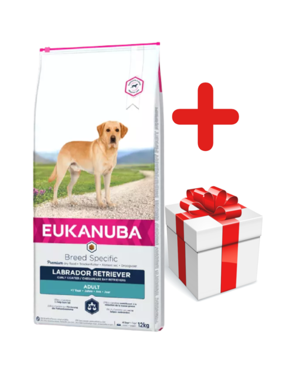 Eukanuba adult labrador retriever 12kg + niespodzianka dla psa GRATIS!