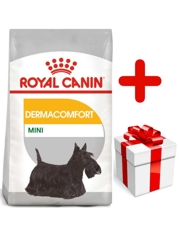 ROYAL CANIN CCN Mini Dermacomfort 8kg + niespodzianka dla psa GRATIS!