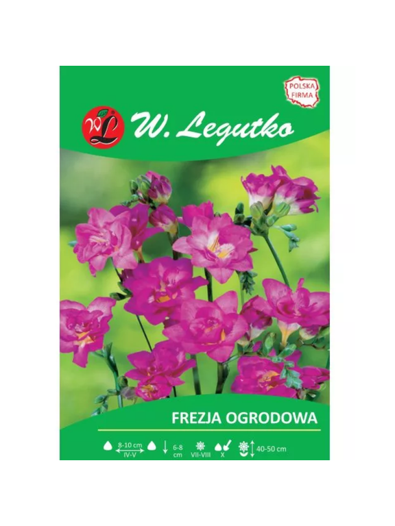 Frezja różowa 10szt.