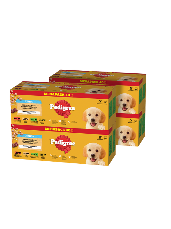 PEDIGREE Junior mokra karma dla szczeniąt w galaretce 4x(40x100g)