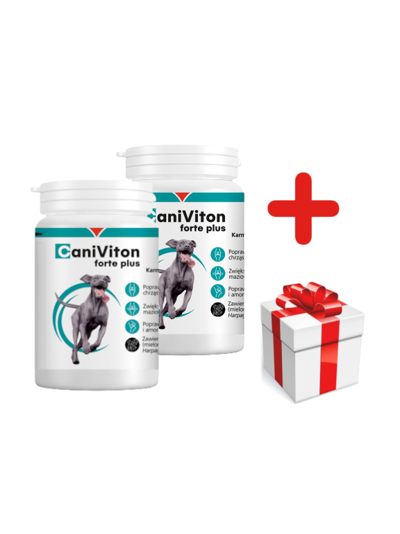 VETOQUINOL Caniviton Forte Plus - Karma Uzupełniająca Dla Psów 2x90 tab + NIESPODZIANKA DLA PSA GRATIS