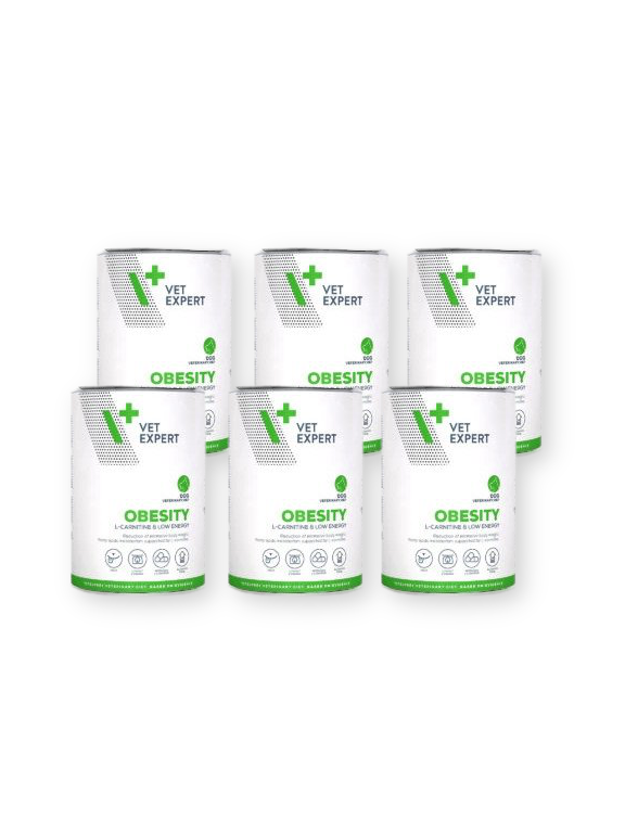 VETEXPERT Obesity 6x400g