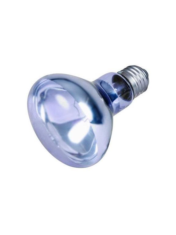 TRIXIE Punktowa lampa grzewcza neodymowa 75 W