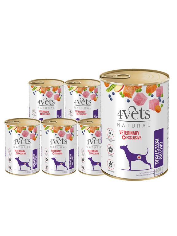4Vets dla psów Gastro Intestinal 6x400g