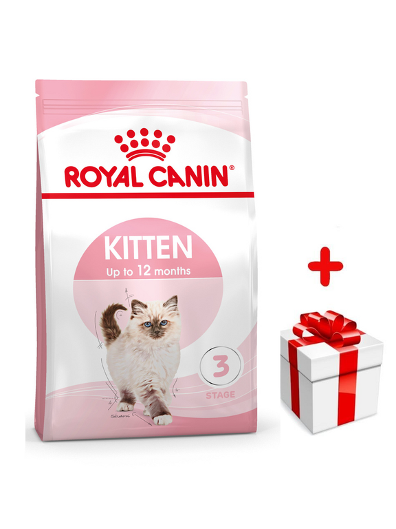 ROYAL CANIN  Kitten 4kg karma sucha dla kociąt od 4 do 12 miesiąca życia + niespodzianka dla kota GRATIS!