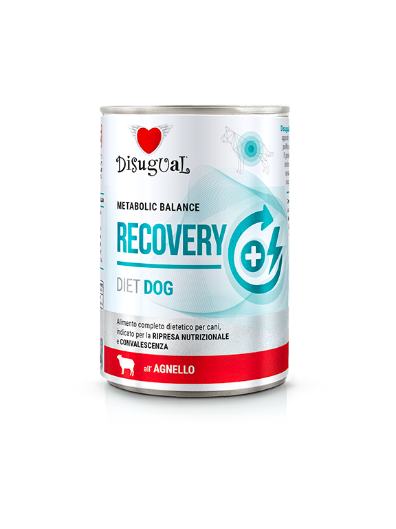 Disugual Karma mokra dla psa Weterynaryjna RECOVERY Jagnięcina (dorosły) 400g