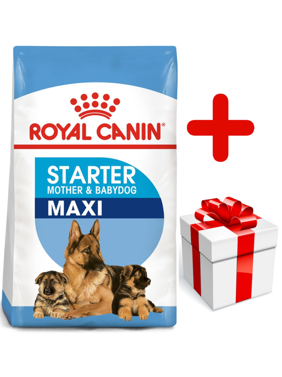 ROYAL CANIN Maxi Starter Mother&Babydog 15kg + niespodzianka dla psa GRATIS!
