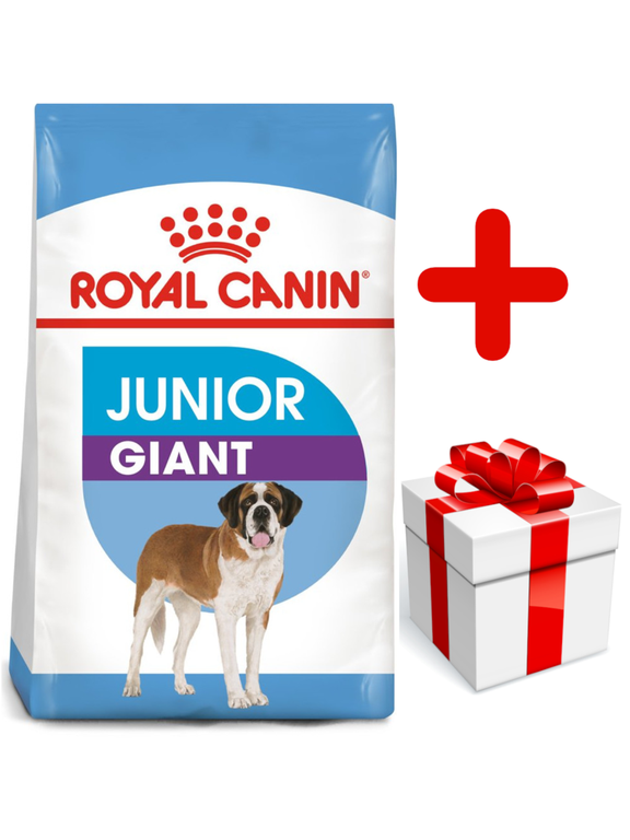 ROYAL CANIN Giant Junior 15kg karma sucha dla szczeniąt  od 8 do 18/24 miesiąca życia, ras olbrzymich + niespodzianka dla psa GRATIS!