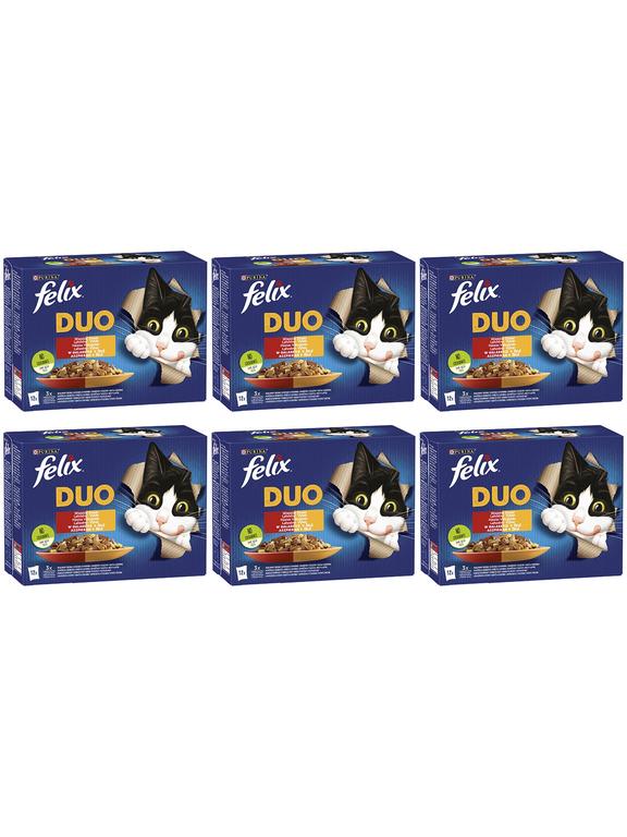 FELIX Duo Wiejskie Smaki w galaretce; 72x85g