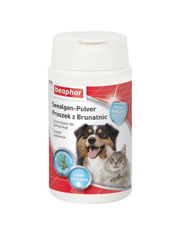 Beaphar DENTAL POWDER 75G - brunatnice; zapobiega przykremu zapachowi z j. ustnej